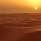 砂漠の朝