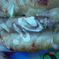 DSC04737
