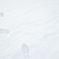 雪中の足跡