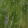 雨あがる