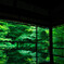 瑠璃光院