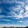IMG_6861