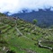 Terraced fields