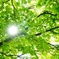 1B24B39C-0EB2-483A-9631-D40EBBF49D74