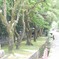 宗像大社にて