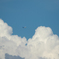 大空へ