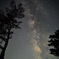夏の天の川