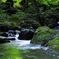龍頭が滝