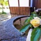 水と花
