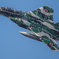 假想敌部队的F-15鷹式戰鬥機百里基地巡回教導・・・11