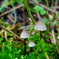 DSC08271