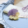pansy