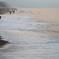 海の日は海へ