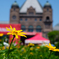 Queen's park