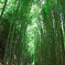 旧倉吉線の廃線