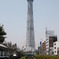 Sky tree