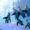 夏空とペンギン