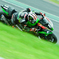 Team GREEN