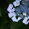 IMG_20180615_204319