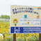 ひまわりの丘公園