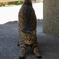 Post_IMG_1536