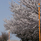 Post_IMG_1386