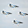 Blue Impulse