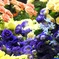 薔薇