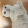 あめちゃん#22