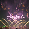 DSD_8245_00001