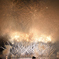 DSD_8319_00001_01