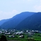 里山の夏