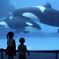 水族館