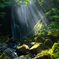 Morning Waterfall