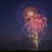 第30回たまむら花火大会