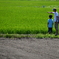 君が進む道