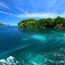 夏の海