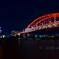 真夜中の赤橋