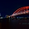 真夜中の赤橋