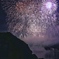 夏の夜に咲く満開の花