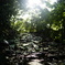 D7693329-5A12-4E61-8A1A-542C0556462F