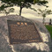 photo_798181