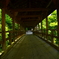 東福寺・偃月橋２