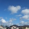 綿菓子いっぱいだー
