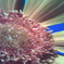 4009E186-7F29-495D-B90B-06BD7B597E8D