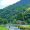 道志川①