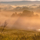Summer morning