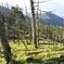 日本百名山甲武信ヶ岳より