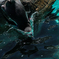 dive!!