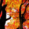 相馬の紅葉